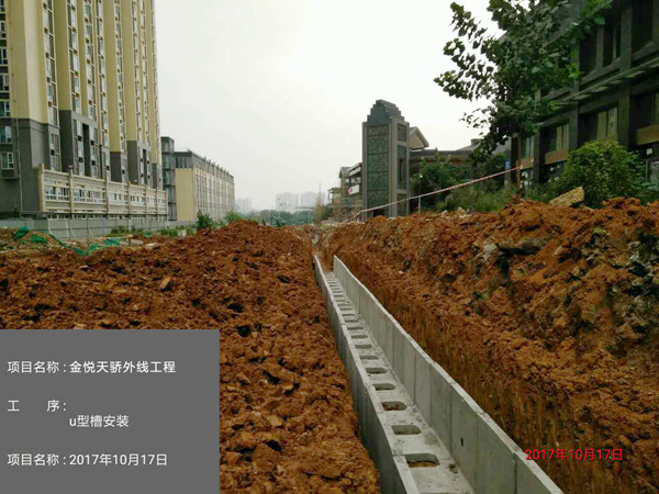 香港六码宝典5007免费资料大全