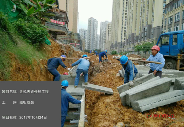 香港六码宝典5007免费资料大全