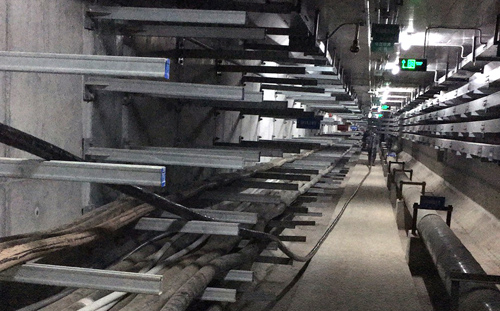 香港六码宝典5007免费资料大全
