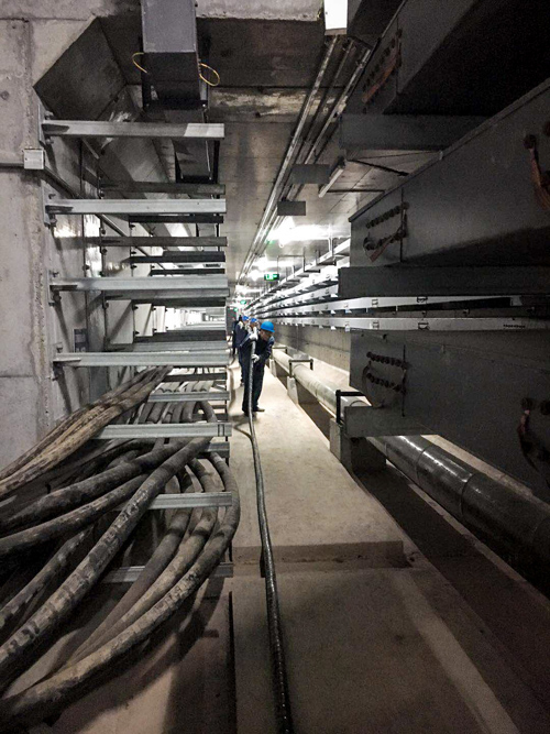香港六码宝典5007免费资料大全