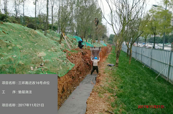 香港六码宝典5007免费资料大全