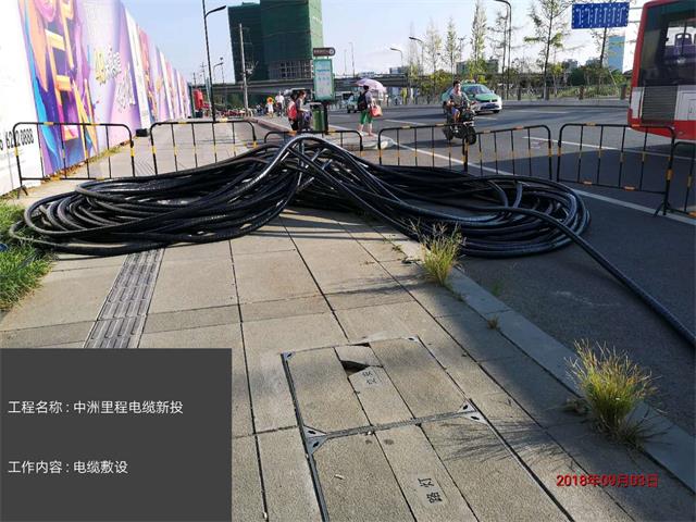 香港六码宝典5007免费资料大全