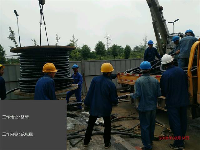 香港六码宝典5007免费资料大全
