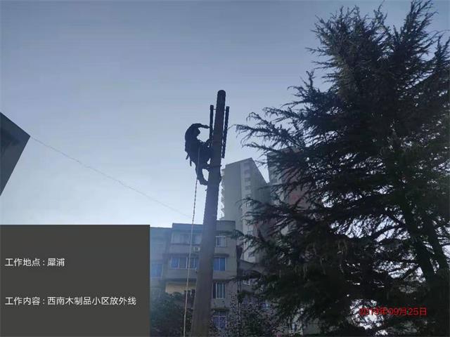 香港六码宝典5007免费资料大全
