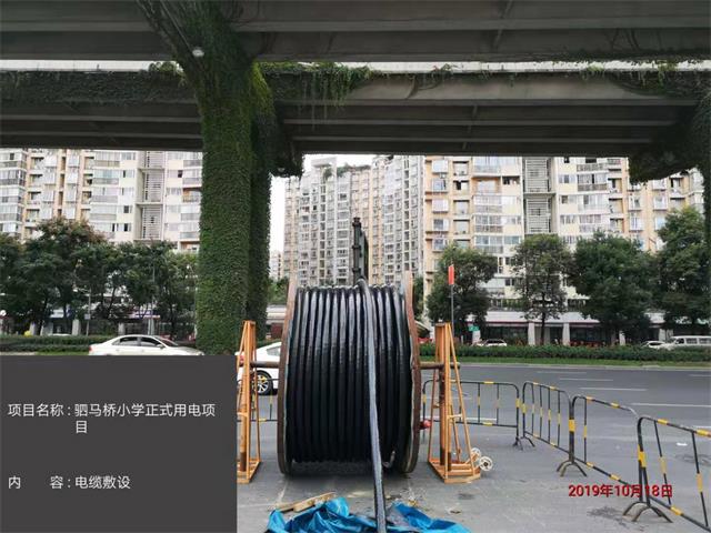 香港六码宝典5007免费资料大全